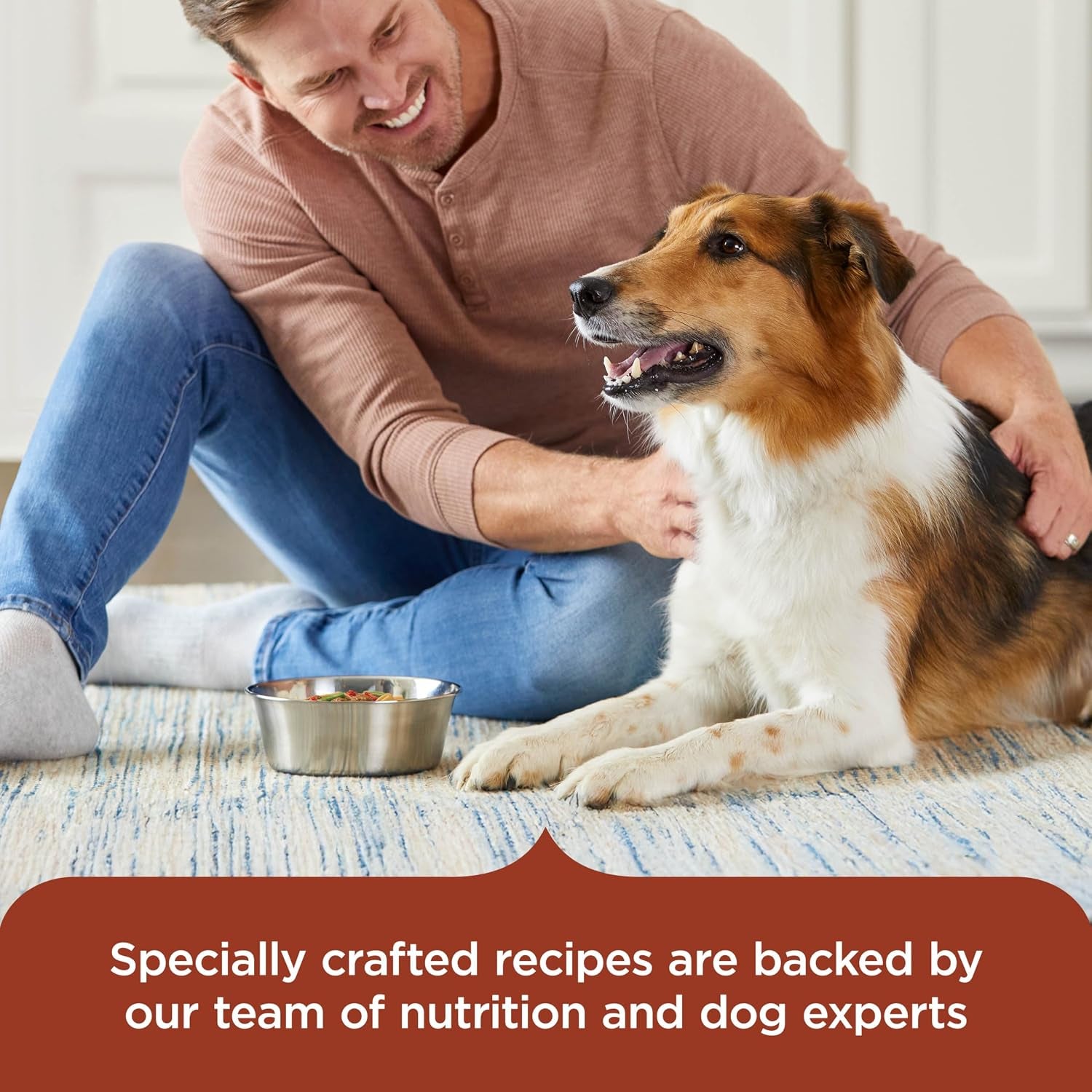 nutrish-savory-favorites-wet-dog-food-variety-pack-8-oz-tubs-rachael-ray-pack-of-6-includes-3-delicious-flavors-of-chicken-paw-pie-hearty-beef-stew-savory-lamb-stew-no-artificial-flavors