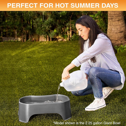 Neater Pet Brands Extra Large Water Bowl for Dogs, Outdoor Dog Water Bowl (1.25 Gallon XL Capacity), Big Trough Style Food Dish for Indoors or Outside, No Spill Large Dog Bowls, Gunmetal Grey7