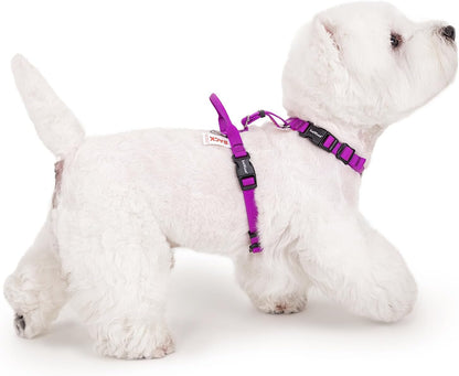 No Pull Dog Harness, Small, Purple/Black | Non Restrictive, Neck Buckle Design, Six Points Adjustment, Lightweight Easy Walk, Small Dogs Chest(17-23Inches)12