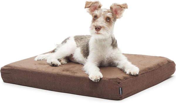 Barkbox Orthopedic Dog Bed - Large | with Memory Foam - Comfortable, Durable & Machine Washable Pet Bed - Grey12