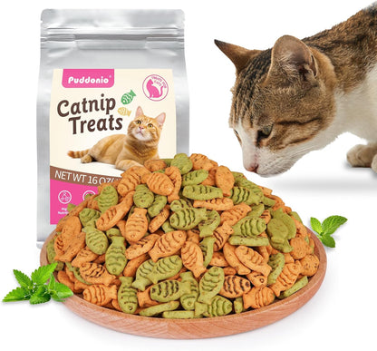 Catnip Cat Treats, Chicken & Salmon Flavor, Crunchy Bites, 16 Oz | Catnip-Infused Fish-Shaped Biscuits with Chicken and Salmon Flavors, Made for Training, Rewarding, and Everyday Bonding1