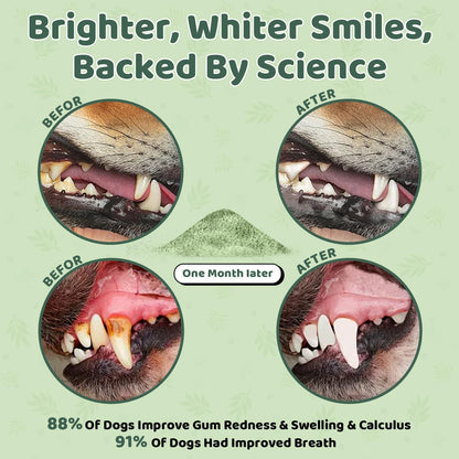 Dog Teeth Cleaning Powder, Dog Dental Powder, Dog Dental Care, Targets Tartar & Bad Breath & Reduces Plaque, Dental Powder for Dog Teeth Cleaning, Green2