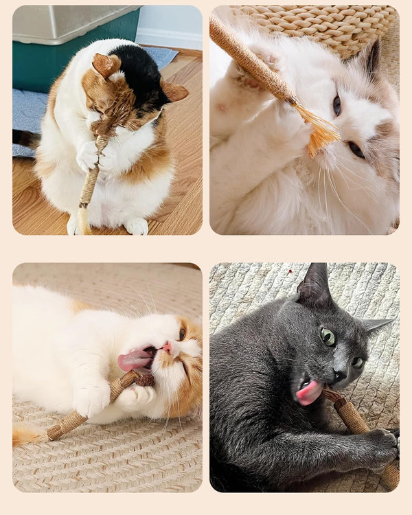 Tocirelo Silvervine Sticks Cat Toys - 6Pack Natural Cat Chew Toy Teeth Cleaning, Matatabi Dental Care Kitten Treat, Catnip Cat Teething Toys, Catmint Silver Vine Sticks for Bored Indoor Kitty7