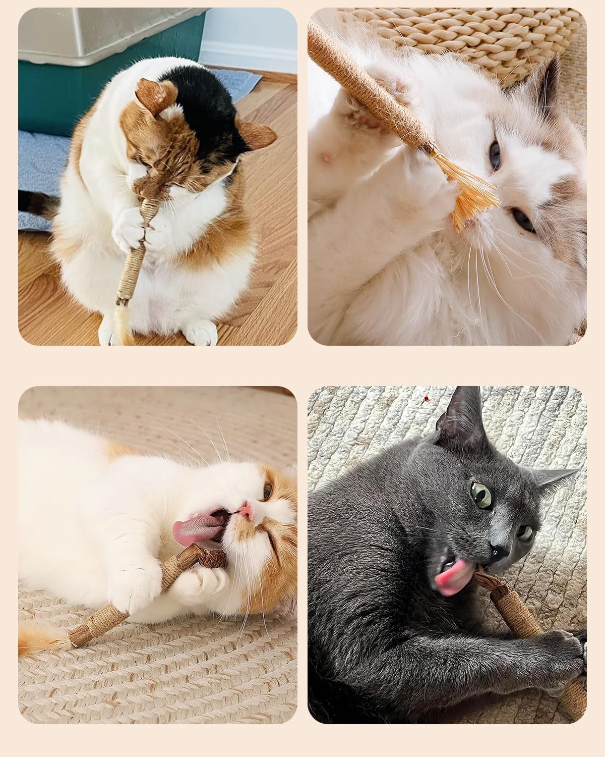 tocirelo-silvervine-sticks-for-cats-natural-cat-chew-toy-teeth-cleaning-6pack-matatabi-sticks-dental-care-kitten-treat-catnip-cat-teething-toys-catmint-silver-vine-sticks-for-bored-indoor-kitty
