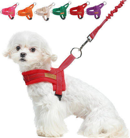 BEAUTYZOO Dog Harness No Pull, Quick Fit Dog Harness and Leash Set, Escape Proof Vest Harness with Soft Handle, Reflective Breathable Mesh Padding Harness for Medium Size Dog Training Walking, Beige M27
