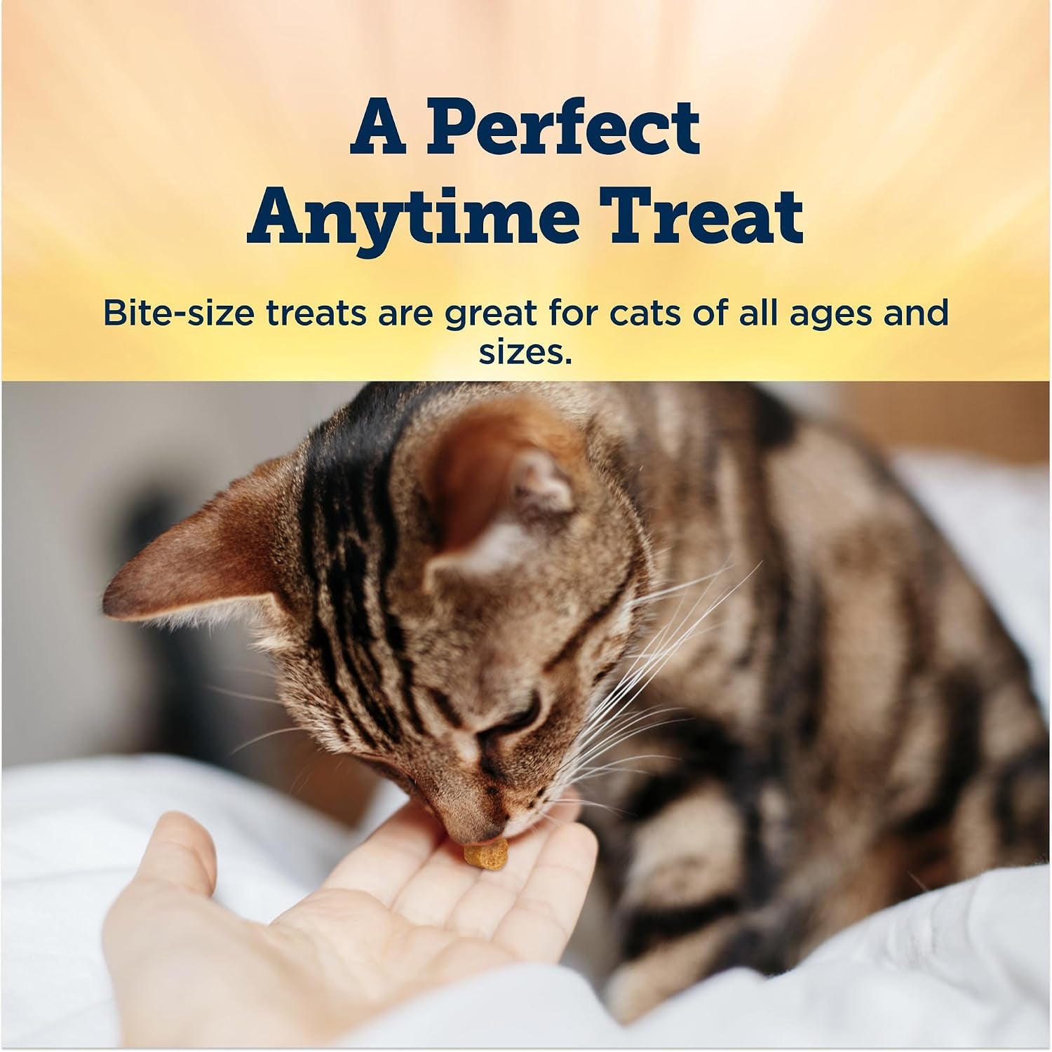 blue-buffalo-true-chews-chicken-cat-treats-3-oz-real-chicken-first-bite-sized-chewy-texture-no-chicken-by-product-corn-wheat-or-soy