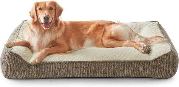 JOEJOY XL Orthopedic Dog Bed for Large Dogs, Extra Thick Foam Pet Bed Sofa | Bolster Sides, Large Sized Dog Couch Bed with Removable Washable Cover, Non-Slip Bottom, Grey (42"X30")16