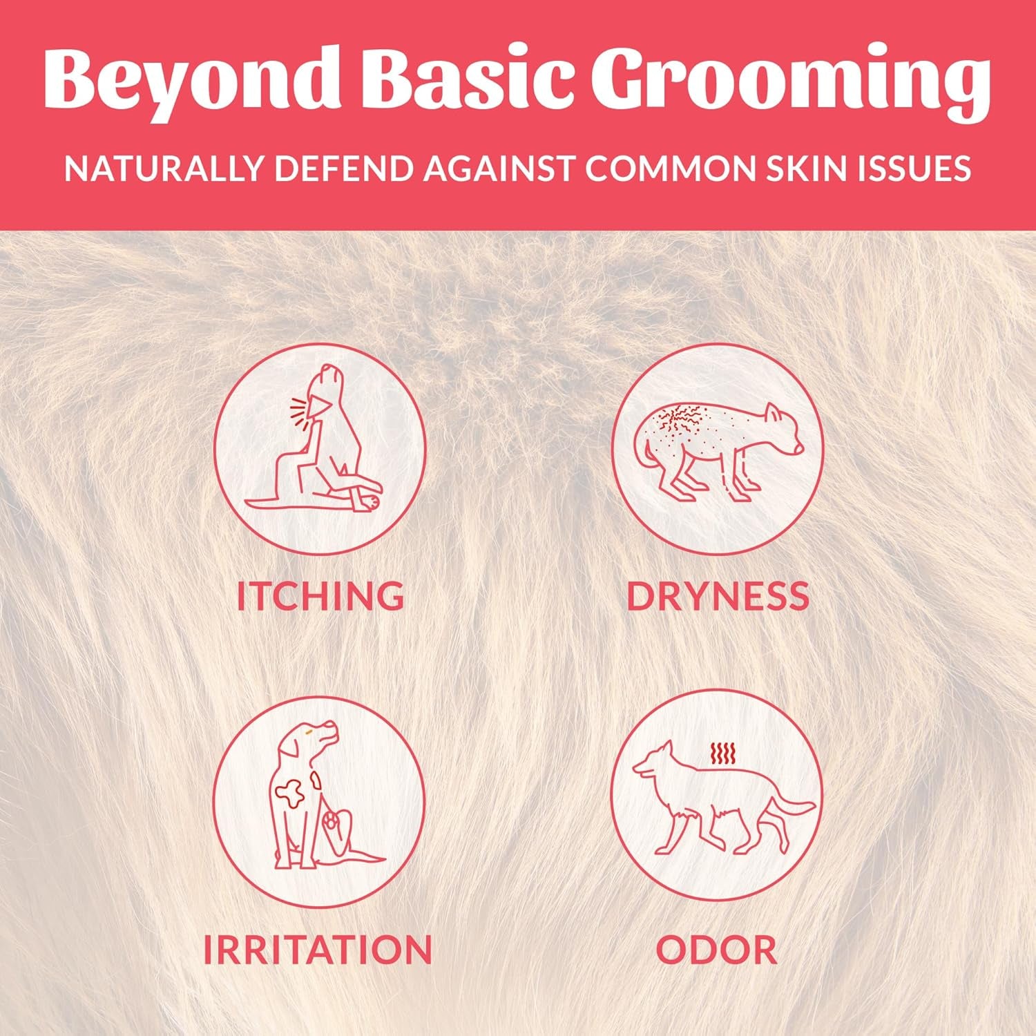 skouts-honor-probiotic-dog-deodorizing-spray-sunkissed-coconut-8-oz-hydrating-daily-use-formula-with-avocado-oil-and-omega-3s-microbiome-friendly-paraben-and-sulfate-free