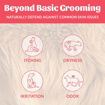 SKOUT'S HONOR Probiotic Dog Deodorizing Spray - Sunkissed Coconut, 8 Oz | Hydrating Daily-Use Formula with Avocado Oil and Omega-3S, Microbiome-Friendly, Paraben and Sulfate-Free3