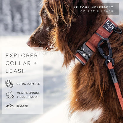 MADE to ROAM Control Dog Collar | Leather Handle & Heavy Duty Metal Buckle | Premium Adjustable Collar with Vegan Leather Handle. Fits Medium to Large Dogs. 15 Colors. Matching Leash & Harness8