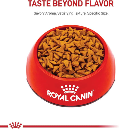 Royal Canin Feline Care Nutrition Hairball Care Adult Dry Cat Food, 6 Lb Bag8