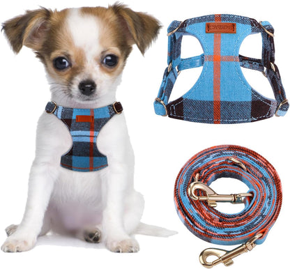 CHEDE No Pull Puppy Harness and Multifunction Dog Leash Set- 8 Colors Soft Adjustable No Choke Escape Proof Cute,Lightweight Pet Vest Harness for Small and Medium Dog…22