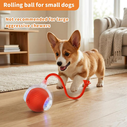Cat Toys for Indoor Cats Smart Automatic Bal Moving Chase Dogs Toy, Red | Ball Rolling for Bored Kitten Pet, Upgraded Speedy Moving Chase Dogs Toy3