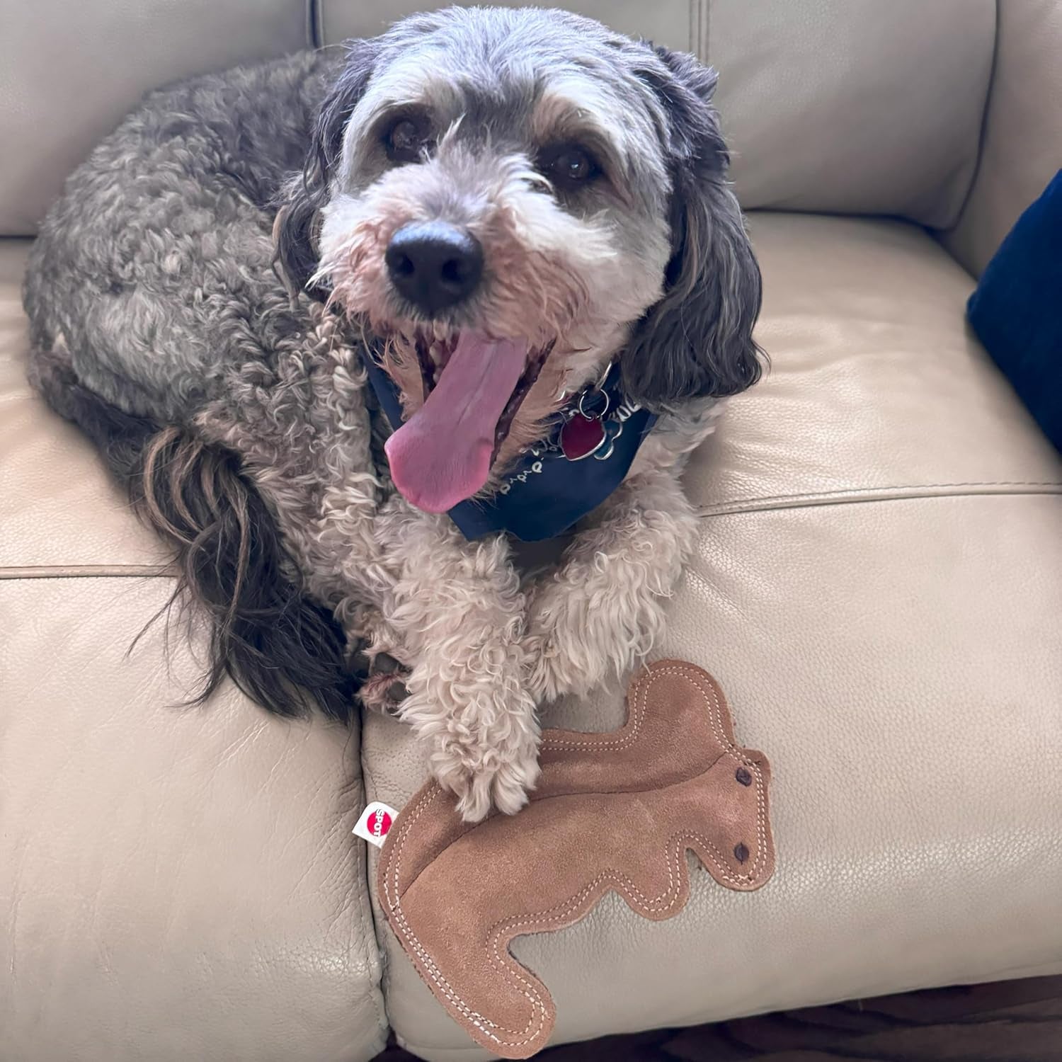 spot-dura-fused-leather-squirrel-dog-toy-real-leather-jute-fabric-double-stitched-durable-soft-stuffed-squeaky-interactive-chew-toy-for-moderate-chewers-small-medium-dogs-8in
