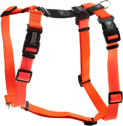 Blue-9 Buckle-Neck Balance Harness, Fully Customizable Fit No-Pull Harness, Ideal for Dog Training and Obedience, Made in the USA, Sky Blue, Medium10