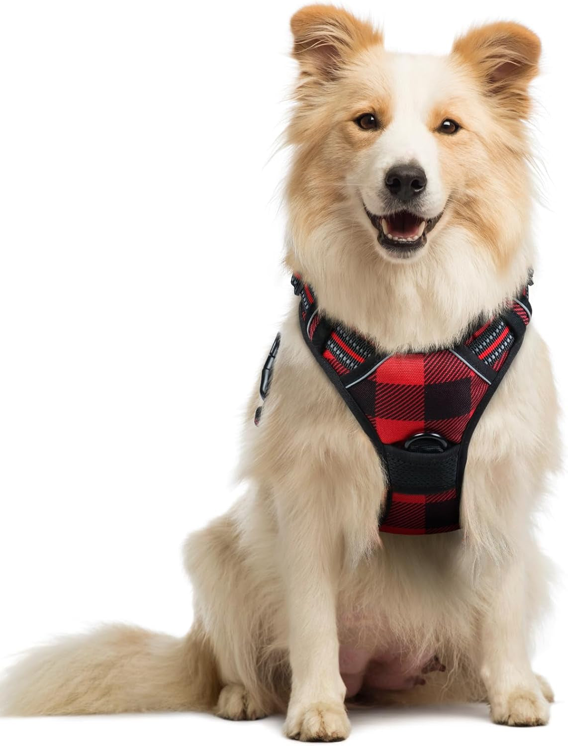 rabbitgoo-dog-harness-no-pull-for-large-dogs-with-2-leash-clips-pet-vest-no-choke-with-handle-adjustable-soft-padded-reflective-easy-control-for-walking-black-large