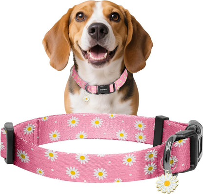 Kazazoo Dog Collar Cute and Soft Nylon Puppy Collar Girl Dogs, Adjustable Purple Dog Collars for Medium Dogs, Purple Flowers-M49