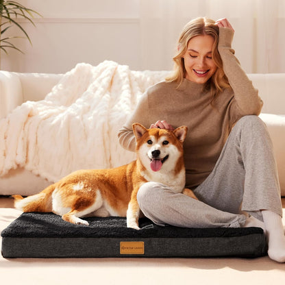 Patas Lague Orthopedic Dog Bed Large Sized Dog 36''X24'',Soft Waterproof Egg Crate Foam Medium Pet Crate Beds Mat with Removable Washable Cover and Non-Slip Bottom, Black2