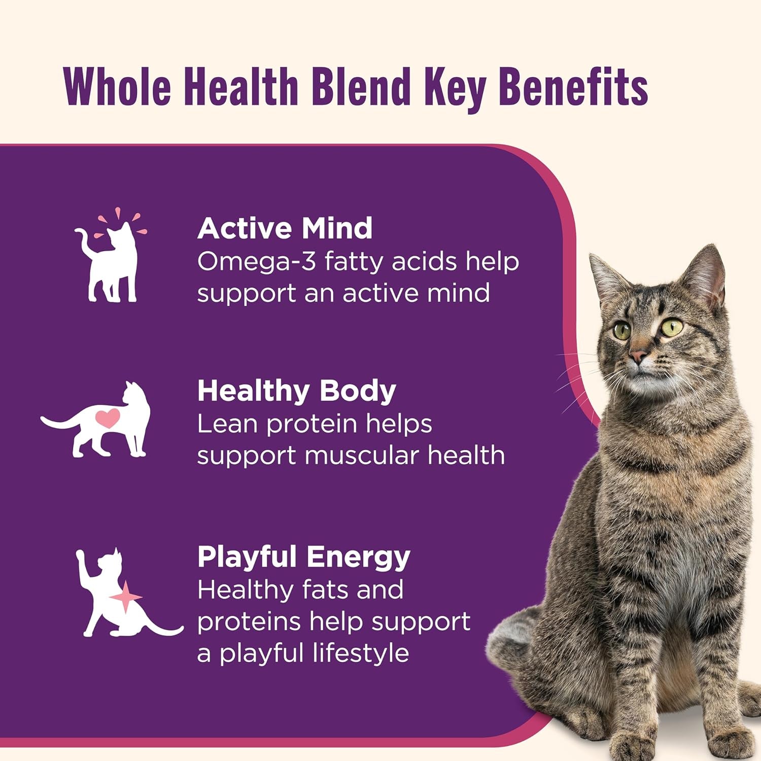 nutrish-ocean-lovers-wet-cat-food-variety-pack-2-8-oz-cup-rachael-ray-includes-12-cups-of-three-grain-free-recipes-fisha-a-licious-chicken-shrimp-pawttenesa-and-tuna-purrfection