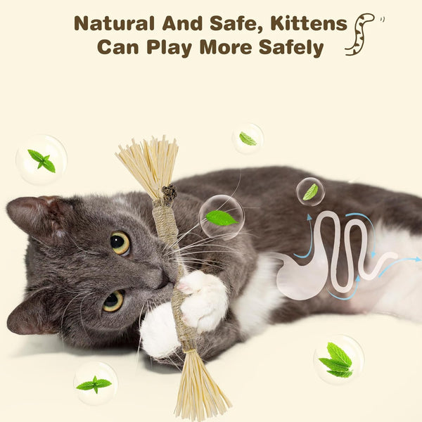 4 Pack Silvervine Sticks for Cats - Cat Chew Toy for Teeth Cleaning, Edible Matatabi Kitty Chew Sticks, Catnip Cat Toys for Indoor Cats (4 Sticks)3