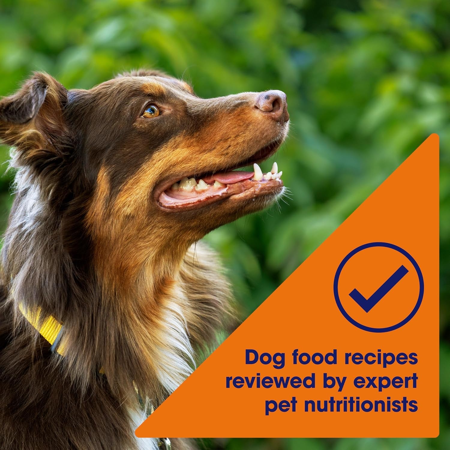 nature-s-recipe-chicken-barley-brown-rice-recipe-dry-dog-food-24-lb-bag