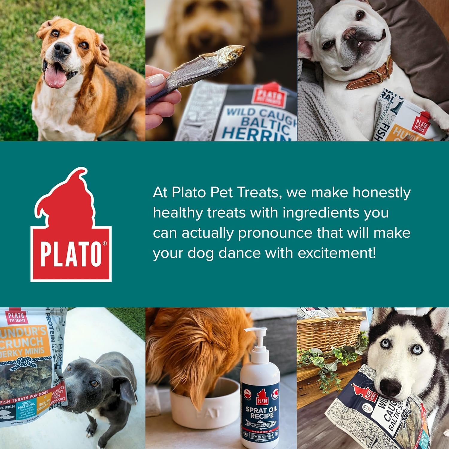 plato-pet-treats-fish-dog-treats-air-dried-single-ingredient-pet-treat-omega-3-6-fatty-acids-to-support-skin-and-coat-100-whole-fish-wild-caught-baltic-herring-3oz-2-pack