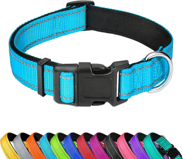 Reflective Dog Collar, Adjustable Soft Neoprene Padded,Teal,M | Breathable Nylon for Medium Dogs,Tear-Resistant Webbing,Chafe‑Free on Walks and Hikes,Metal D-Ring,Night Safety10