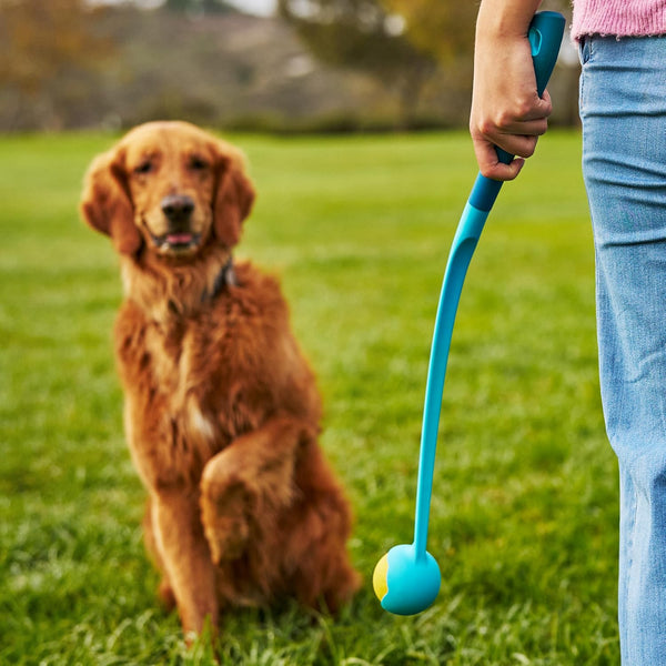 Gosports Pets 24 Inch Dog Ball Launcher - Ergonomic Tennis Ball Thrower for Dogs 20+ Lbs - Includes Tosser and (2) 2.5 Inch Balls for Fetch8