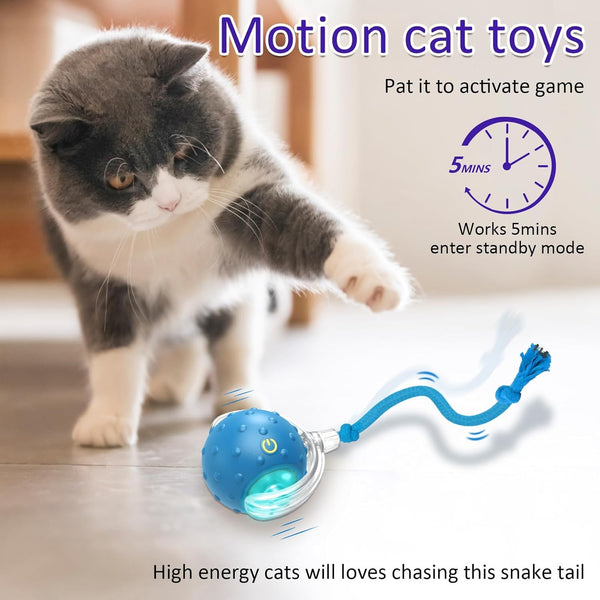 Giociv Interactive Cat Toys Ball for Indoor Cats Fast Rolling on Carpet, Chirping & Motion Activate Cat Toys (Blue)3