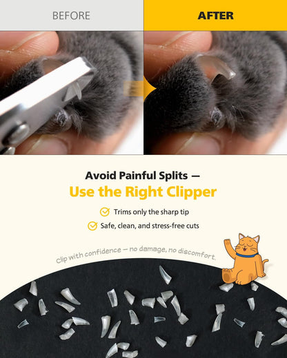 Cat Nail Clipper Trimmer for Indoor Cats, 2Mm Circular Cut Hole | Premium Sturdy Stainless Steel Blade Cat Claw | Safe, Easy, Accurate, Quiet & Fast, Avoid Overcutting6