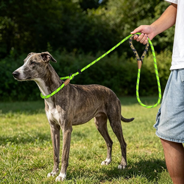 Lynxking Slip Lead Dog Leash Reflective, Heavy Duty Comfortable Strong Rope for Large Medium Small Dogs No Pull Pet Training (Light Green, Large 1/2In X 6Ft-Slip Lead)9