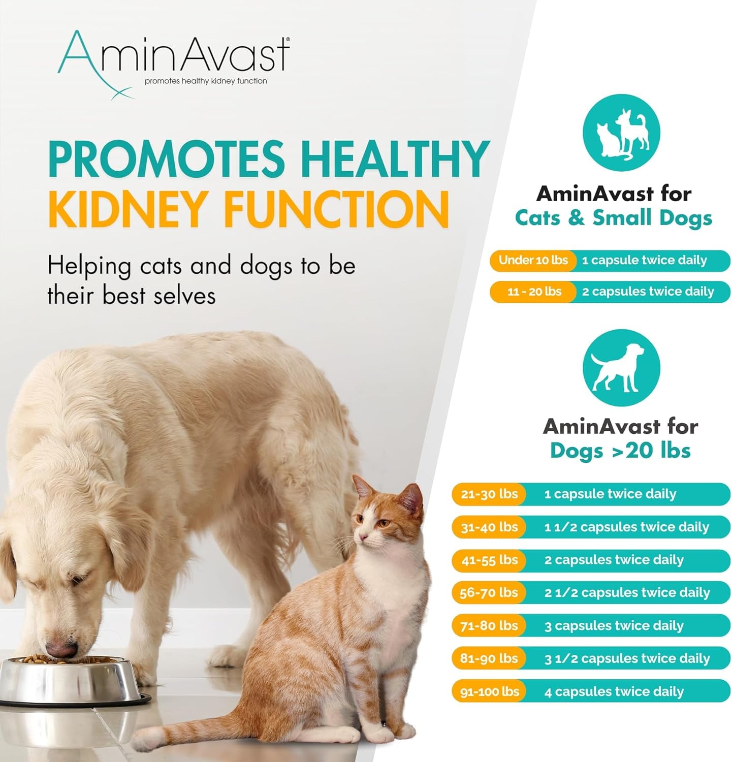 aminavast-300mg-kidney-support-for-cats-small-dogs-60-sprinkle-capsules-feed-directly-or-open-capsules-mix-with-food-amino-acid-and-peptide-blend-for-cats-and-small-dogs-up-to-20lb