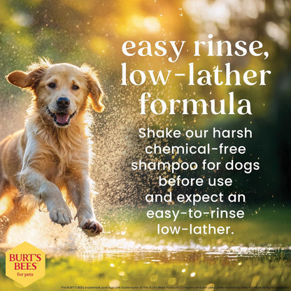 Burts Bees for Pets Oatmeal Dog Shampoo with Honey, Unscented, 16 Fl Oz | Soothing Colloidal Oat Flour Formula for Itchy, Sensitive Dog Skin; Ph-Balanced and Sulfate-Free for Regular Use4
