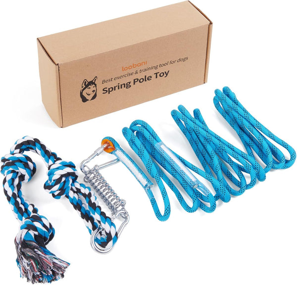 LOOBANI Outdoor Bungee Tug Toy, Interactive Tree Hanging Dog Toys, Black | Durable, Tug of War, Exercise Play Cord & Tether, Chew Rope Toy, Muscle Building & Bite Training, for Small to Large Dogs10