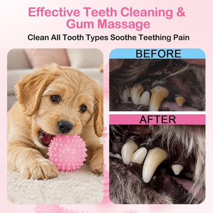 Puppy Toys, 6 Pack Dog Chew Toys for Puppy, Cute Pink Small Dog Toys, Puppy Teething Toys for Puppies, Soft Durable Interactive Chew Toy for Small Dogs4