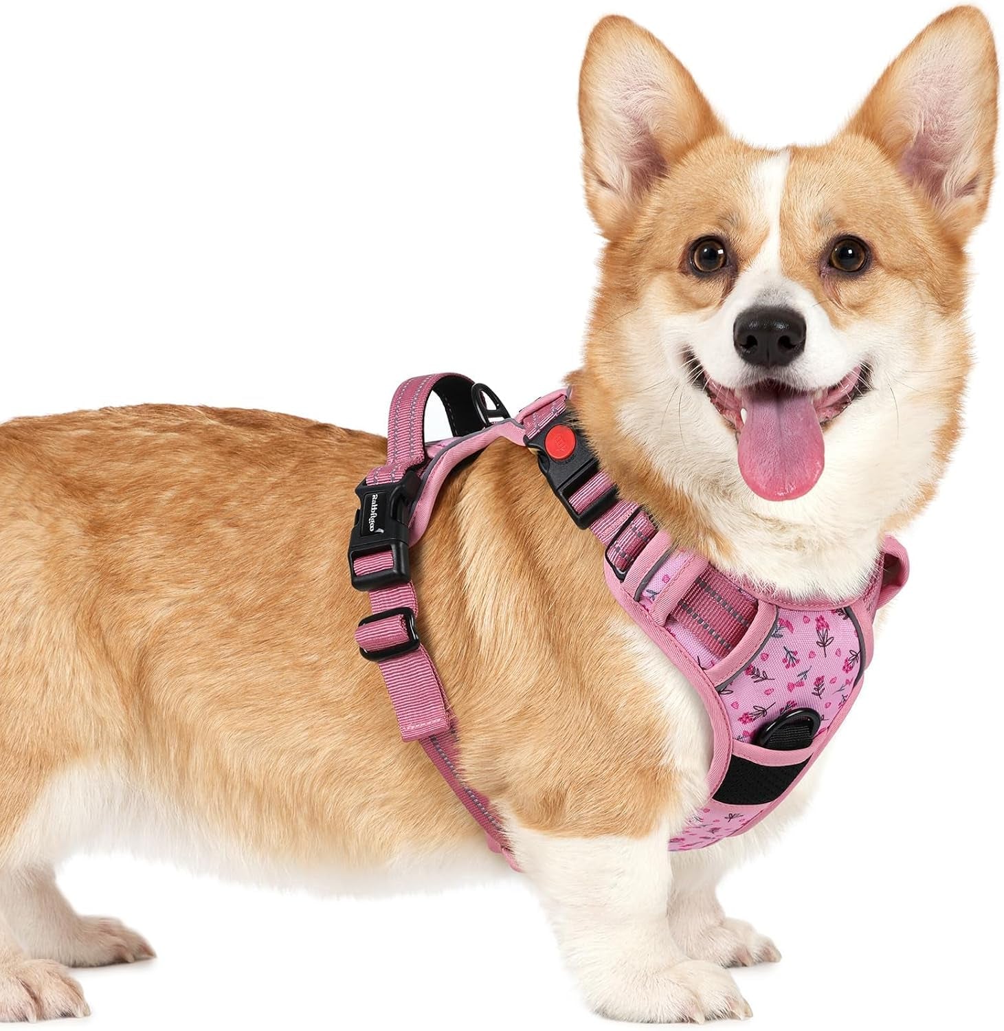 rabbitgoo-dog-harness-medium-sized-updated-easy-on-off-with-3-buckles-no-pull-no-choke-walking-with-2-clips-and-handle-adjustable-soft-reflective-blue-medium