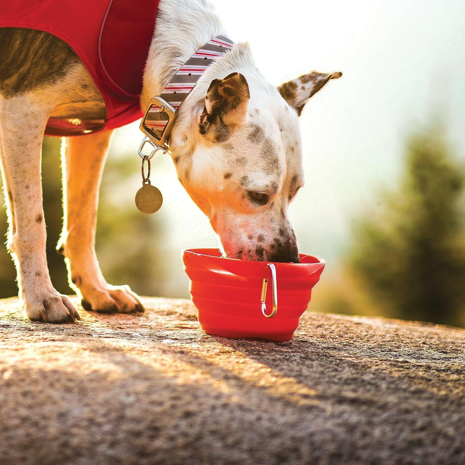 kurgo-collaps-a-bowl-barn-red-collapsible-travel-dog-bowl-holds-up-to-24oz-food-grade-silicone-pvc-bpa-free-dishwasher-safe-includes-carabiner-clip