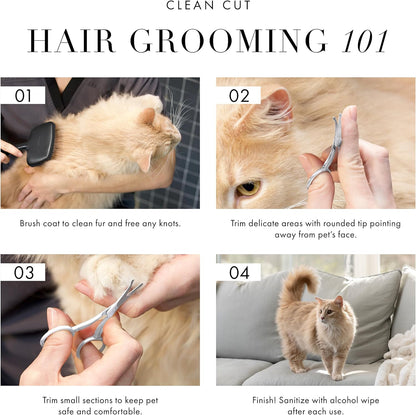 Tweezerman Pet Grooming Scissors-Rounded Tip Trimming Scissor for Dogs/Cats4