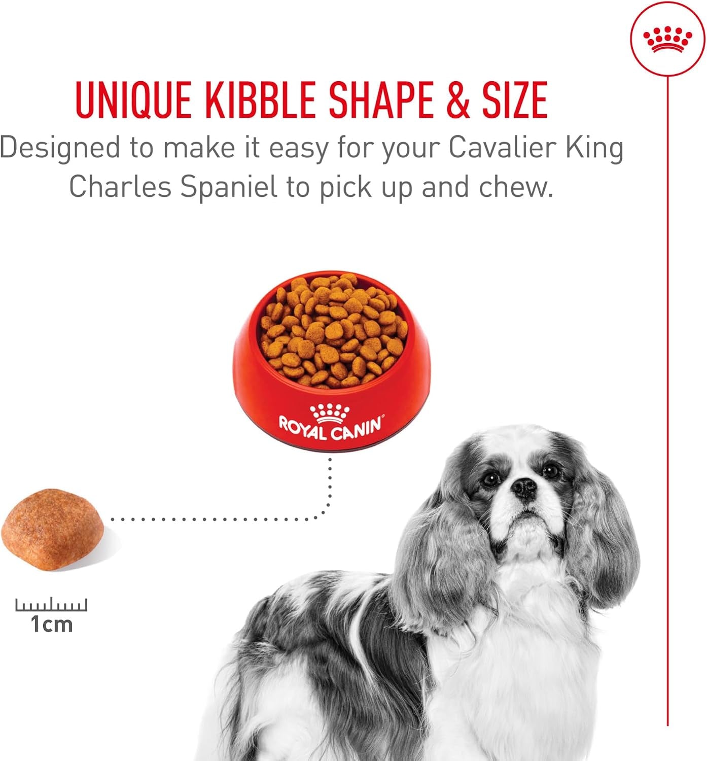 royal-canin-breed-health-nutrition-cavalier-king-charles-spaniel-adult-dry-dog-food-10-lb-bag-specialized-kibble-shape-supports-heart-health-formulated-for-breed-specific-needs-10-lb-resealable-bag