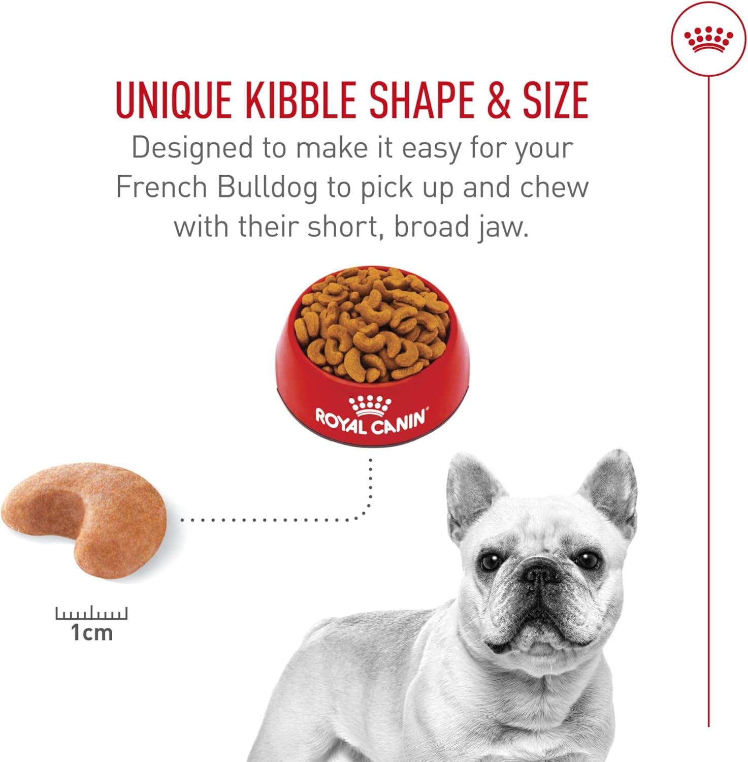 royal-canin-breed-health-nutrition-french-bulldog-adult-dry-dog-food-6-lb-bag-tailored-nutrition-for-purebred-dogs-specialized-kibble-shape-supports-muscle-tone-6-pound-resealable-bag