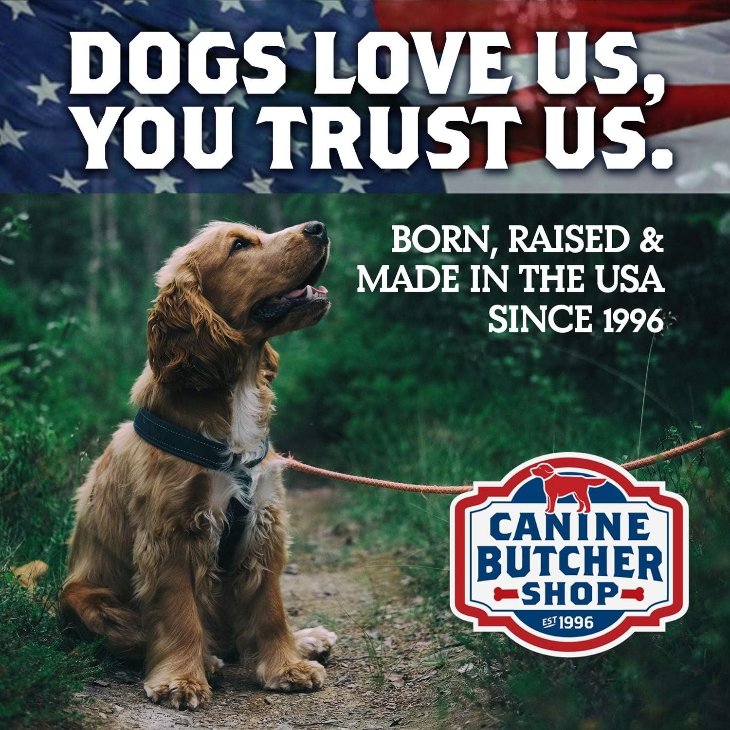 pig-ears-for-dogs-always-usa-made-30-pack-all-natural-sourced-in-usa-pig-ears-digestible-pork-dog-chew-treat-slow-cooked-dried-for-aggressive-chewers-supports-dental-health-satisfies-natural-chewing-instinct-made-in-the-usa