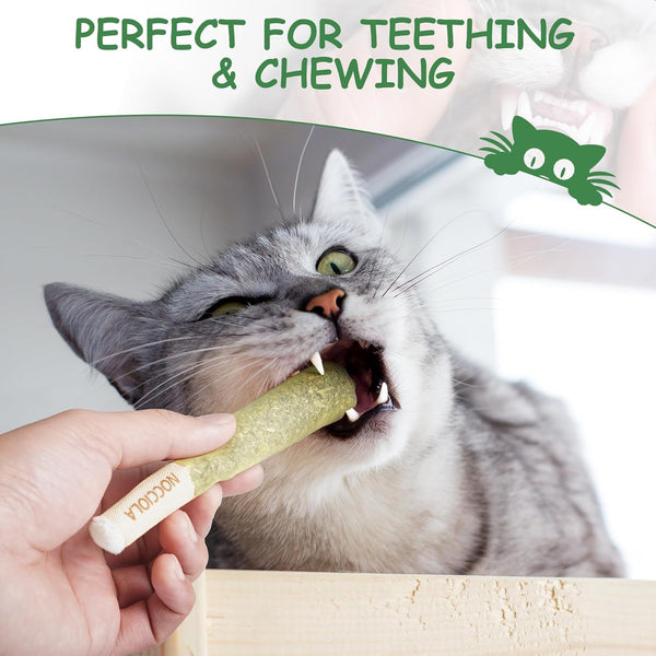 Nocciola 3 Pack Catnip Toys for Cats, Funny Cat Toys Filled with 100% Pure Organic Catnip, Safe Kitten Teething Chew and Kicker Toys, Stress Relieving Fun for Indoor Cats5