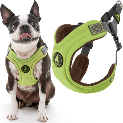 Gooby Escape Free Memory Foam Harness - Green, Large - No Pull Step-In Small Dog Harness with Four Point Adjustment - Perfect on the Go Dog Harness for Medium Dogs No Pull and Small Dogs1