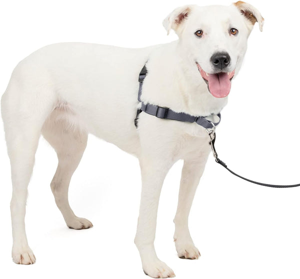 Petsafe Easy Walk Deluxe Dog Harness, No Pull Dog Harness – Perfect for Leash & Harness Training – Stops Pets from Pulling and Choking on Walks – Medium, Ocean18