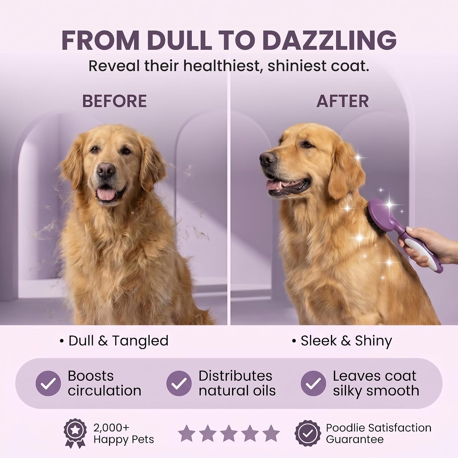 round-bristle-pet-brush-for-dogs-and-cats-soft-dog-brush-for-grooming-short-or-long-hair-gentle-tool-for-sensitive-skin-removes-dander-dirt-and-detangles-purple