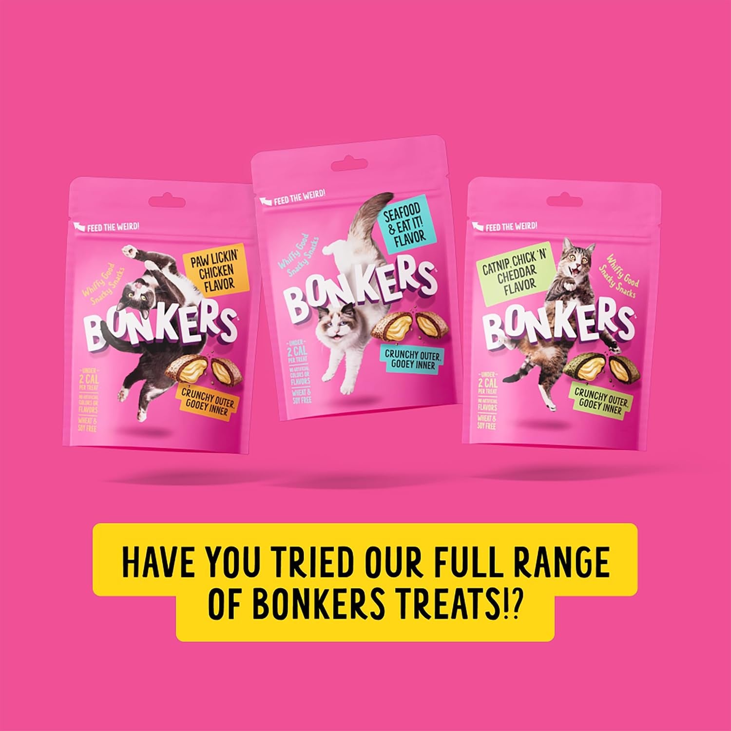 bonkers-bites-catnip-chick-n-cheddar-flavor-crunchy-soft-treats-for-cats-30oz-tub