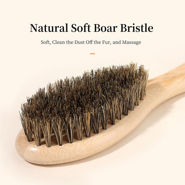 Soft Boar Bristle Dog Brush for Short Haired, Ideal Pet Hair Brush | Gentle Deshedding & Grooming Tool, Puppy Essentials for Grooming and Shedding5