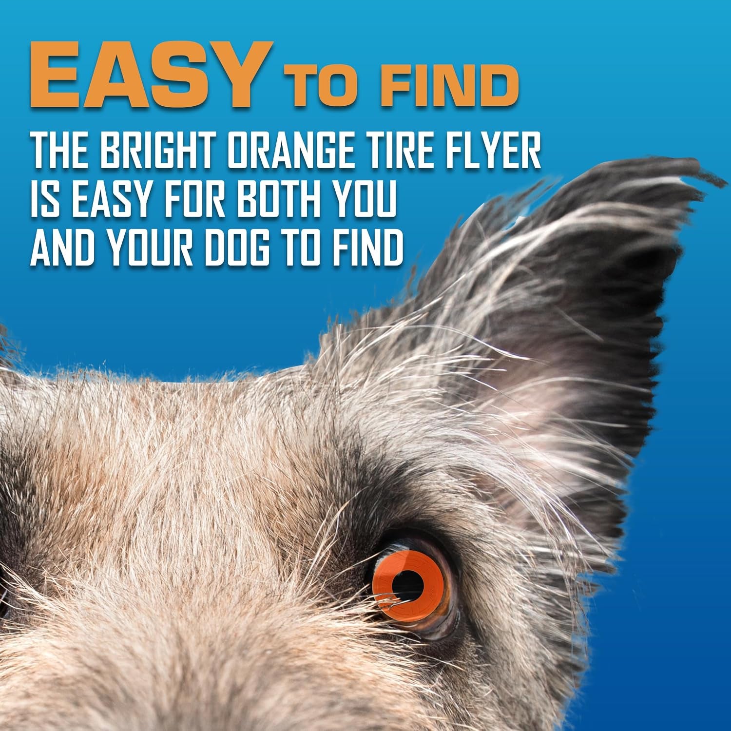 nerf-dog-atomic-flyer-outdoor-dog-toy-10-inch-flying-disc-dog-fetch-toy-rubber-dog-toy-for-medium-dogs-and-large-dogs-orange