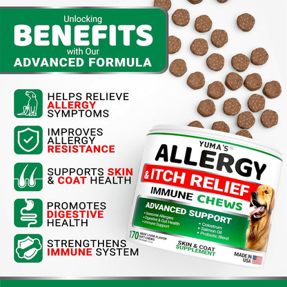 Dog Allergy Relief Chews - Dog Itching Skin Relief Treatment Pills - 170 Treats - Anti-Itch - Itchy and Paw Licking - Hot Spots - Omega 3 Fish Oil - Dry Skin & Coat Supplement - Beef Liver Flavor2