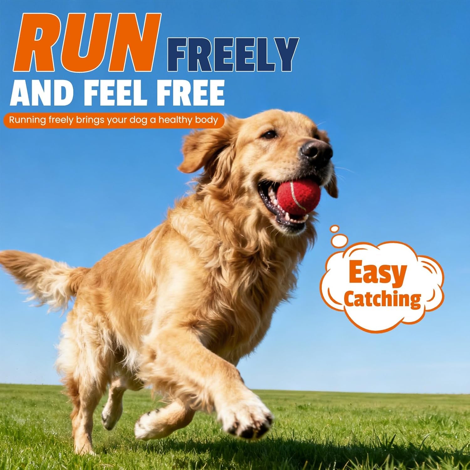 furwey-tennis-balls-for-dogs-16-pack-2-5-inches-durable-and-non-toxic-dog-toys-balls-with-mesh-bag-colorful-fetch-toys-balls-for-pet-dog-non-squeaky